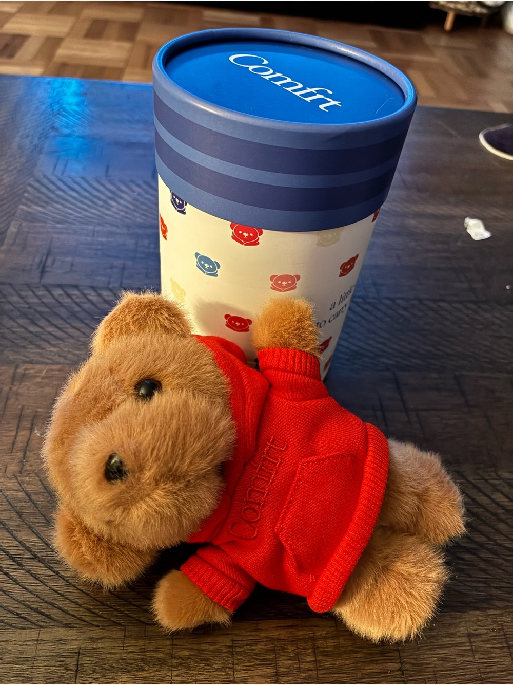 Comfort Bear keychain in Red Hoodie